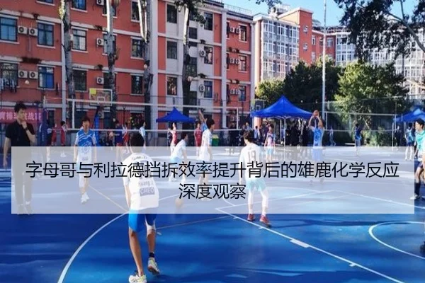 字母哥与利拉德挡拆效率提升背后的雄鹿化学反应深度观察